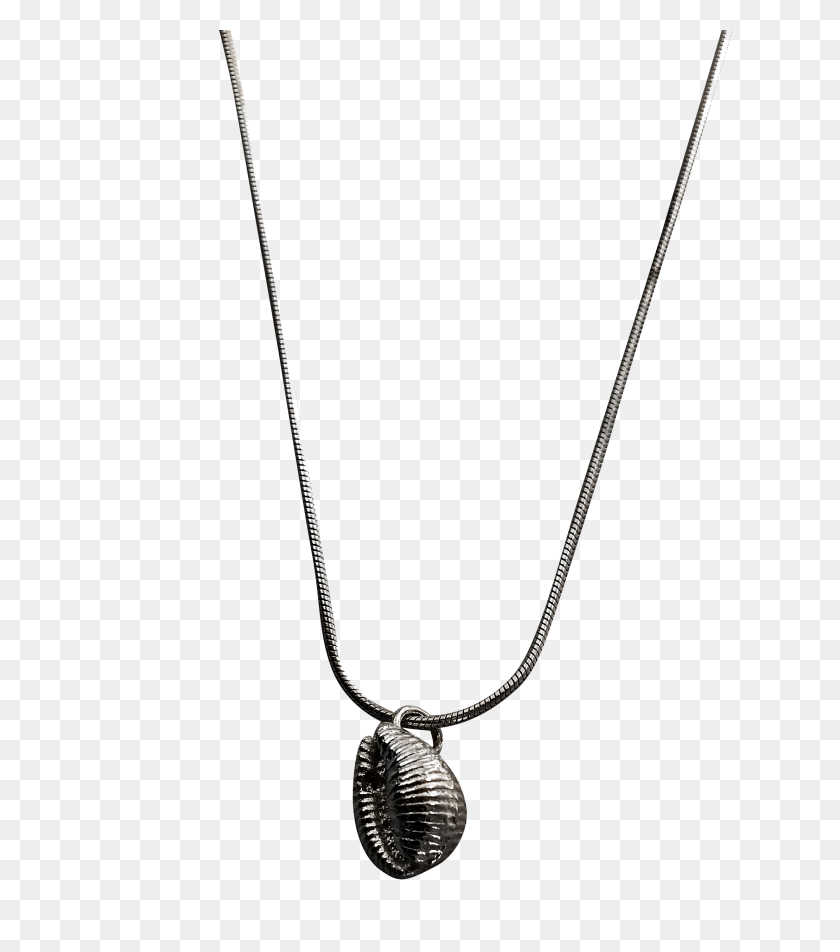 2218x2537 Conch Shell Necklace - Conch Shell PNG