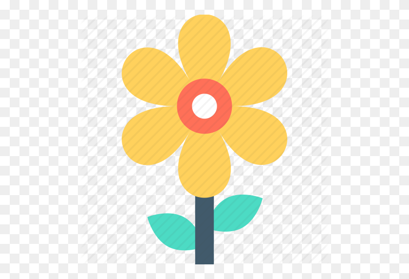 512x512 Coneflower, Dandelion, Flower, Goldenrod, Sunflower Icon - Dandelion PNG