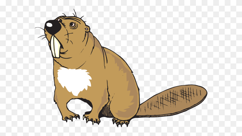 600x412 Confused Beaver Png, Clip Art For Web - Clipart Groundhogs