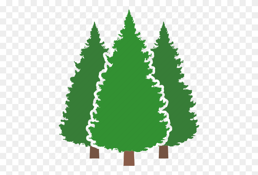 512x512 Conifer, Evergreen, Forest, Jungle, Pine, Tree, Trees Icon - Forest Trees PNG