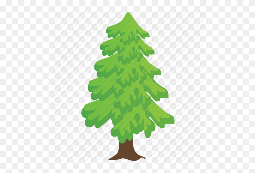 Coniferous Tree Fir Tree Nature Pine Tree Poplar Tree Icon - cliparts for commercial !   use 512x512 coniferous tree fir