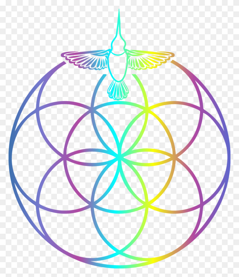 1000x1170 Connect The Psychedelic Integration Coach - Psychedelic PNG