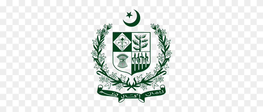 260x298 Constitution Of Pakistan - Separation Of Powers Clipart
