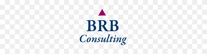 220x161 Consulting Services - Brb PNG