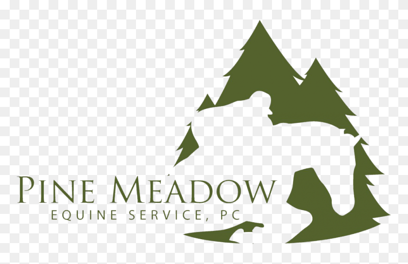 1000x620 Contact A Equine Veterinarian In Yorktown, Va Pine Meadow Equine - Meadow PNG