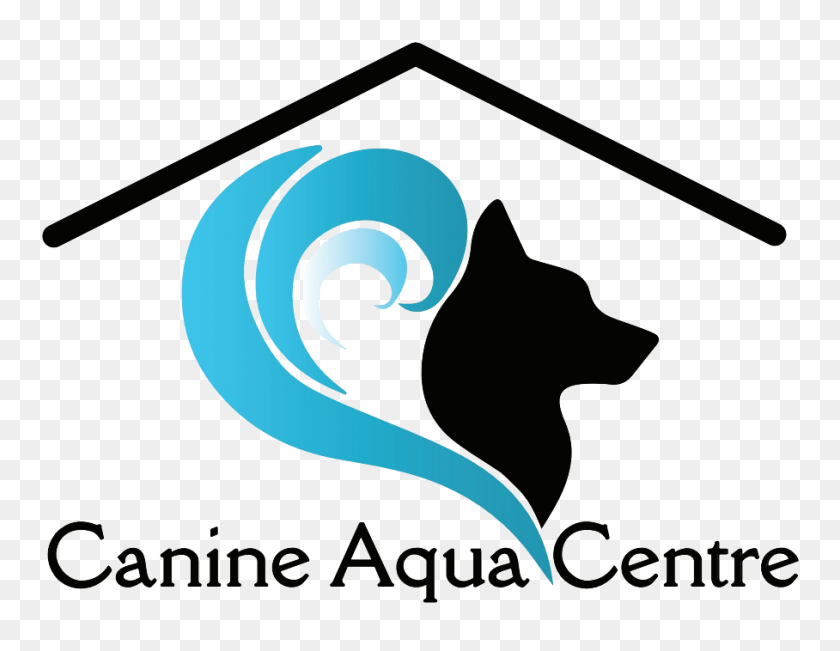 908x688 Póngase En Contacto Con Canine Aqua Center - Imágenes Prediseñadas De Salpicaduras De Agua Png