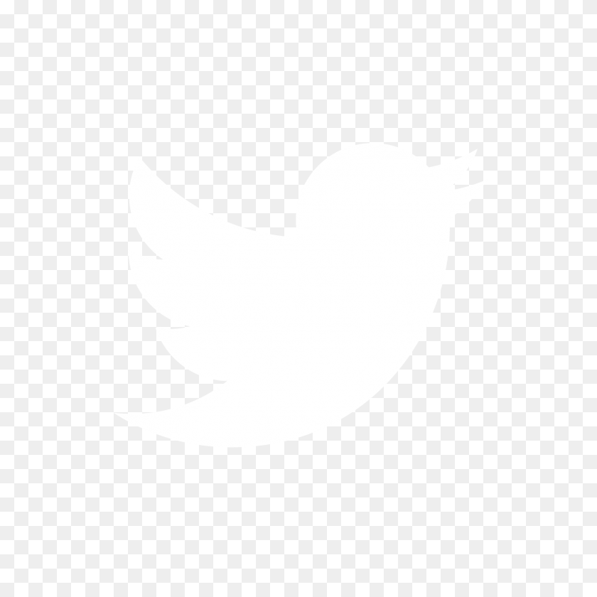 1687x1687 Contact Us - Twitter Bird PNG