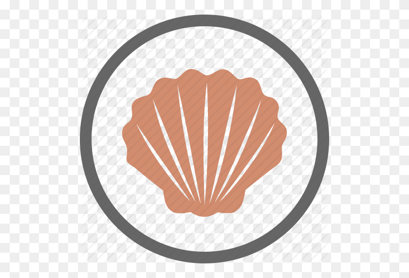 512x512 Contain, Contains, Food, Label, Seashell, Shell, Shellfish Icon - Seashell PNG