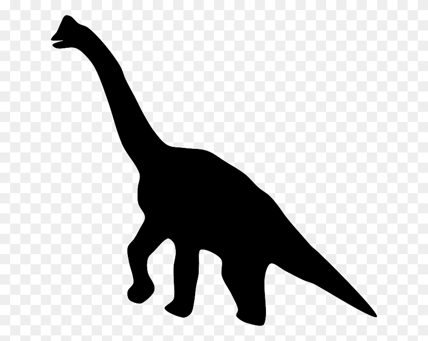 640x611 Contorno De Los Animales - Dinosaurio Silueta Png