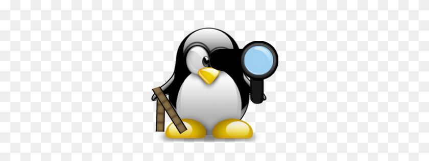 256x256 Conversión De Imágenes Png Para Formato De Videos En Linux - Linux Png