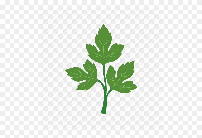 512x512 Cook, Dish, Food, Green, Parsley, Vegetable, Veggie Icon - Parsley PNG