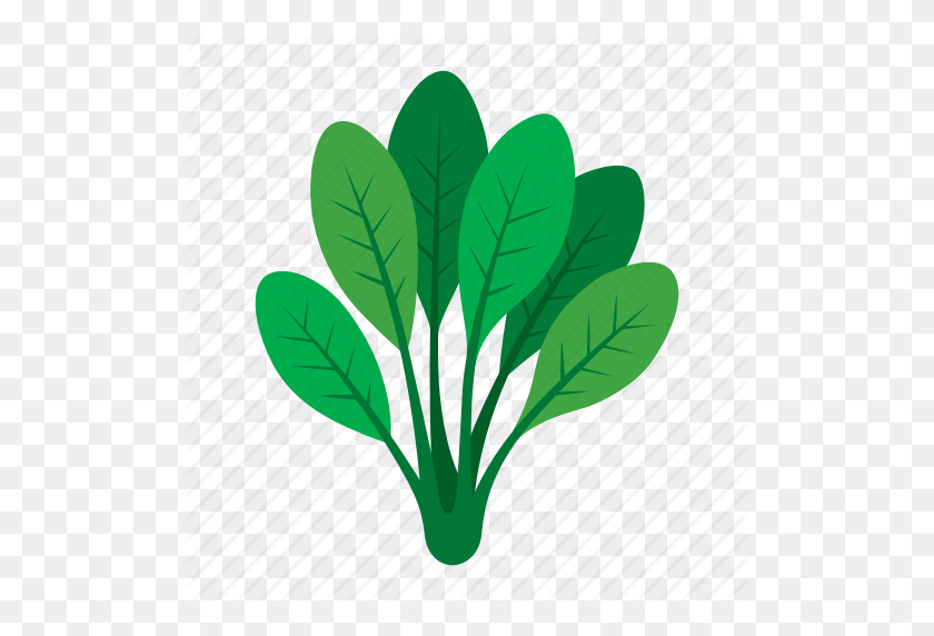 512x512 Cook, Food, Green, Kitchen, Spinach, Vegetable, Veggie Icon - Spinach PNG
