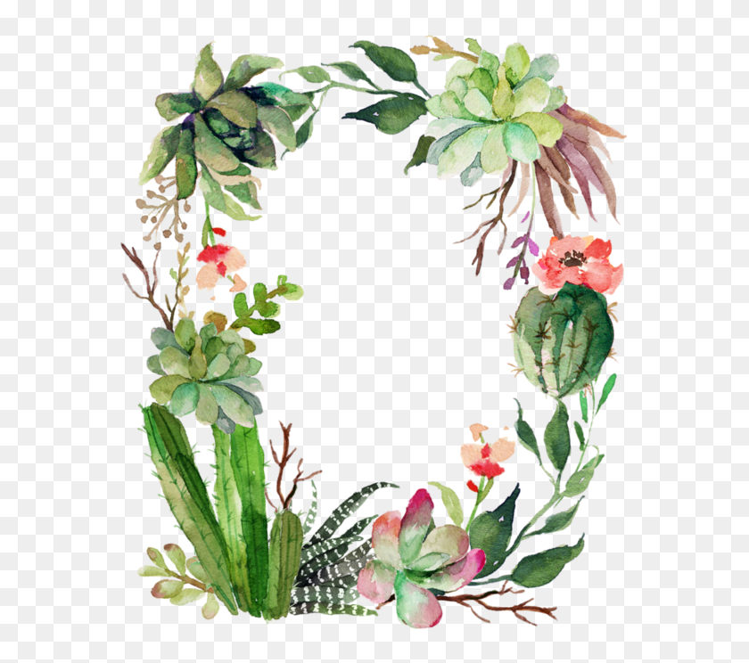 600x684 Cookbook Creation Cactus, Floral - Free Succulent Clip Art