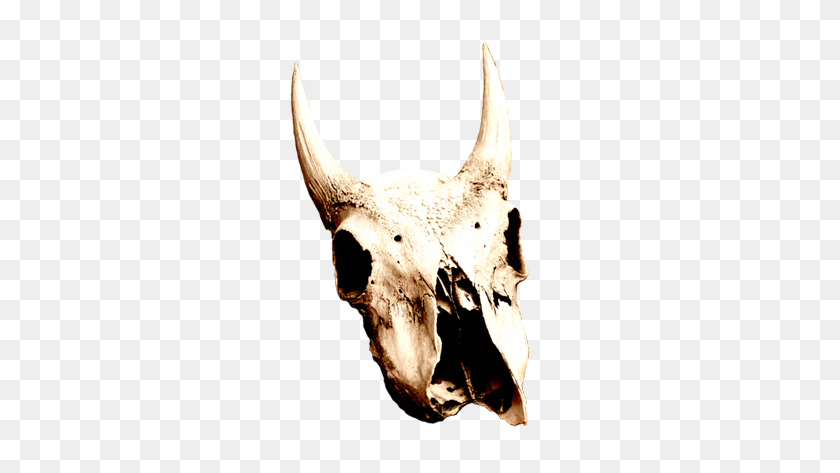 304x413 Cool Skull Clip Art - Animal Skull Clipart