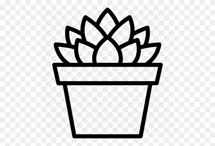 512x512 Cooperi, Haworthia, Houseplant, Plant, Potted, Succulent - Succulent Clipart Black And White