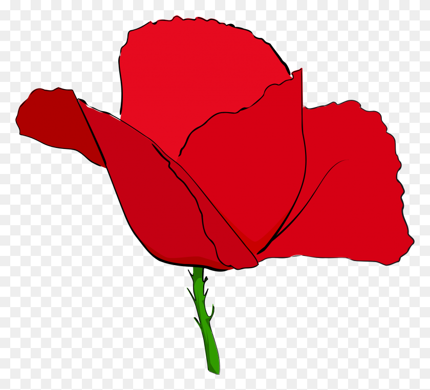 2251x2027 Coquelicot Rouge - Poppy PNG