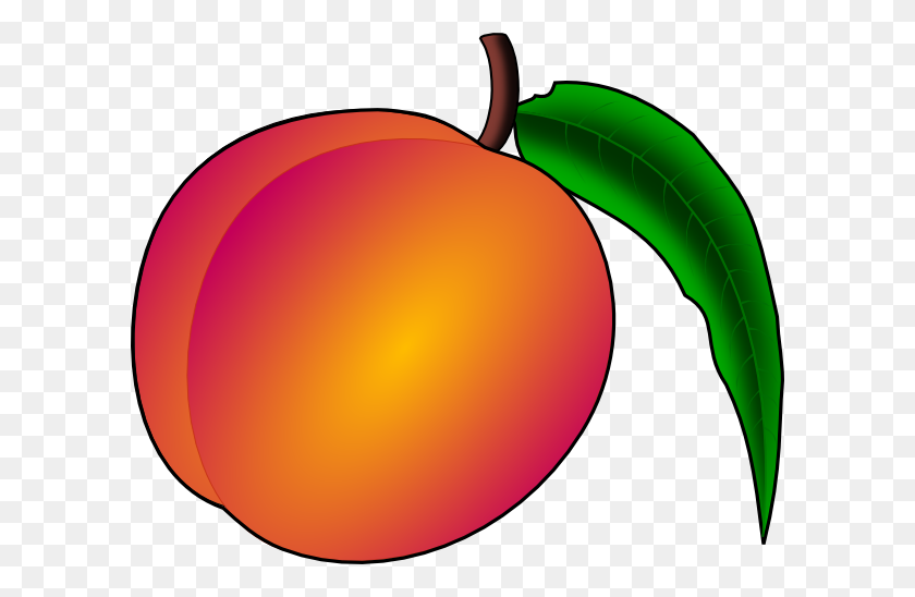 600x488 Coredump Peach Clip Arts Download - Apple Orchard Clipart