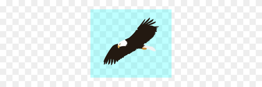 260x219 Coreldraw Eagles Clipart - Eagle Clipart Logo