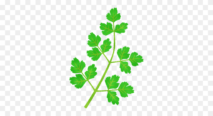 293x400 Coriander Free Clipart Illustrations - Parsley Clipart