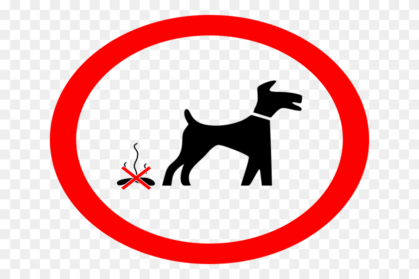 640x500 Cork City Council Issue Fines For Dog Fouling So Far This Year - Cork PNG