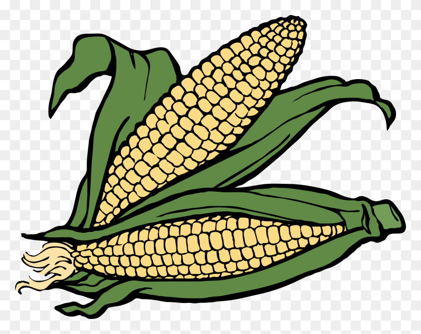 1979x1542 Corn Clip Art Borders - Corn Plant Clipart