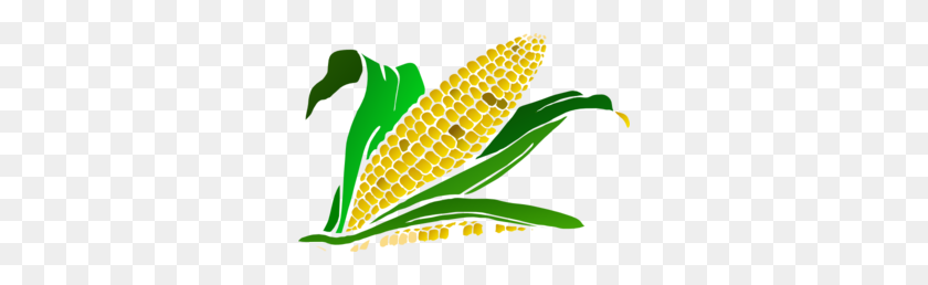 300x198 Corn Clip Art Clipartbold - Corn Stalk PNG