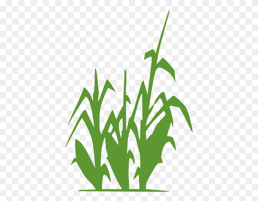 414x595 Черно-Белые Бесплатные Изображения Кукурузы - Черно-Белый Клипарт Трава