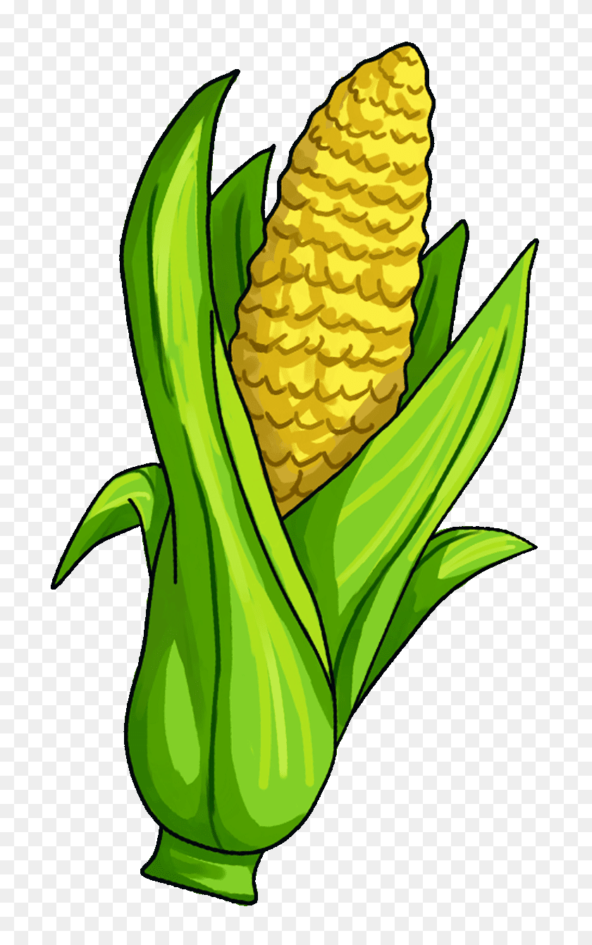 720x1280 Corn Clipart Fruit - Corn Field Clipart
