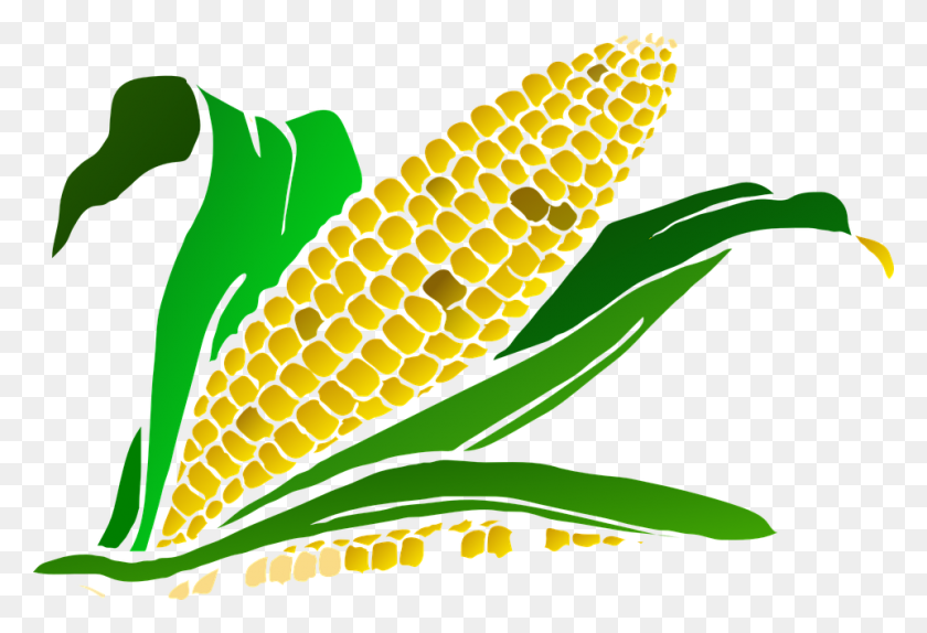 960x633 Corn Clipart Harvesting Crop - Seed Packet Clipart