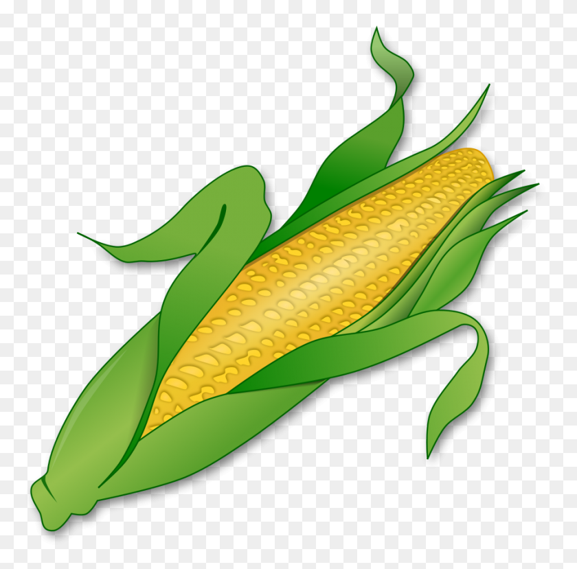900x888 Corn Clipart Png For Web Free Design Clipart Png - Food Web Clipart