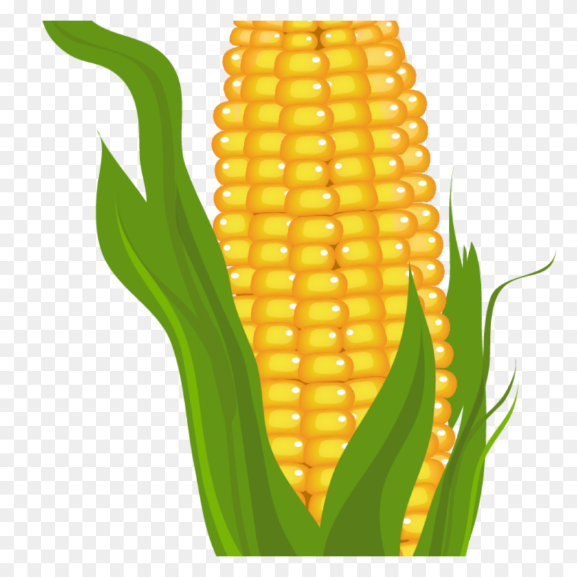 1024x1024 Corn Clipart Rainbow Clipart House Clipart Online Download - Corn Black And White Clipart