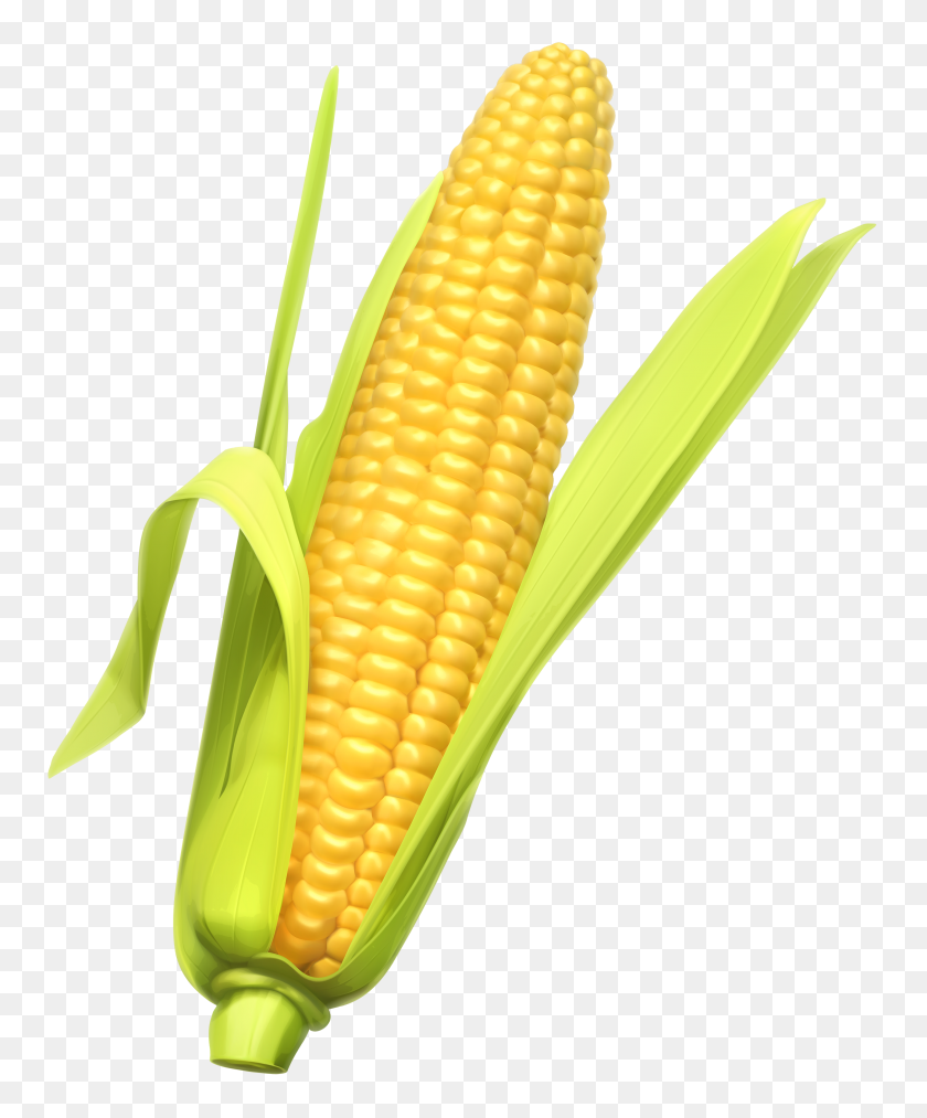 2863x3500 Corn Clipart Web - Ear Of Corn Clipart