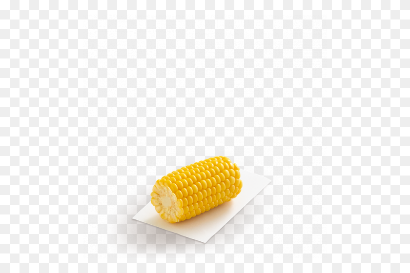 500x500 Corn Cob - Corn On The Cob PNG