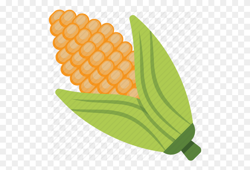 512x512 Corn Cob, Fresh Corn, Maize, Ripe Corn, Sweet Corn Icon - Corn On The Cob PNG