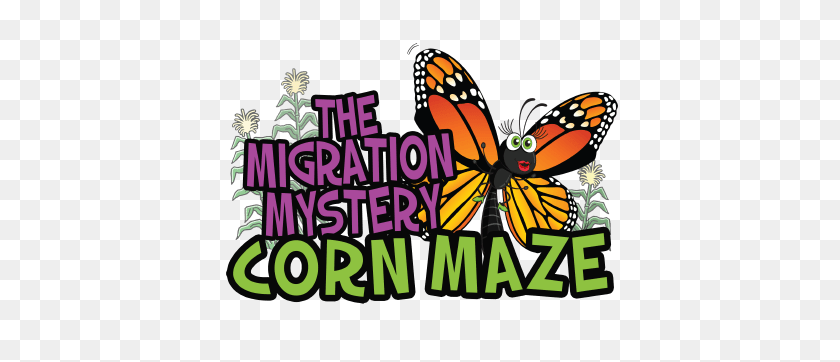 400x302 Corn Maze Migration Mystery - Corn Maze Clipart