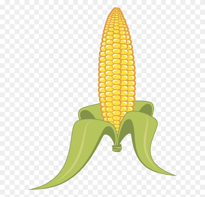 612x750 Corn On The Cob Candy Corn Maize Sweet Corn Banana - Maize Clipart