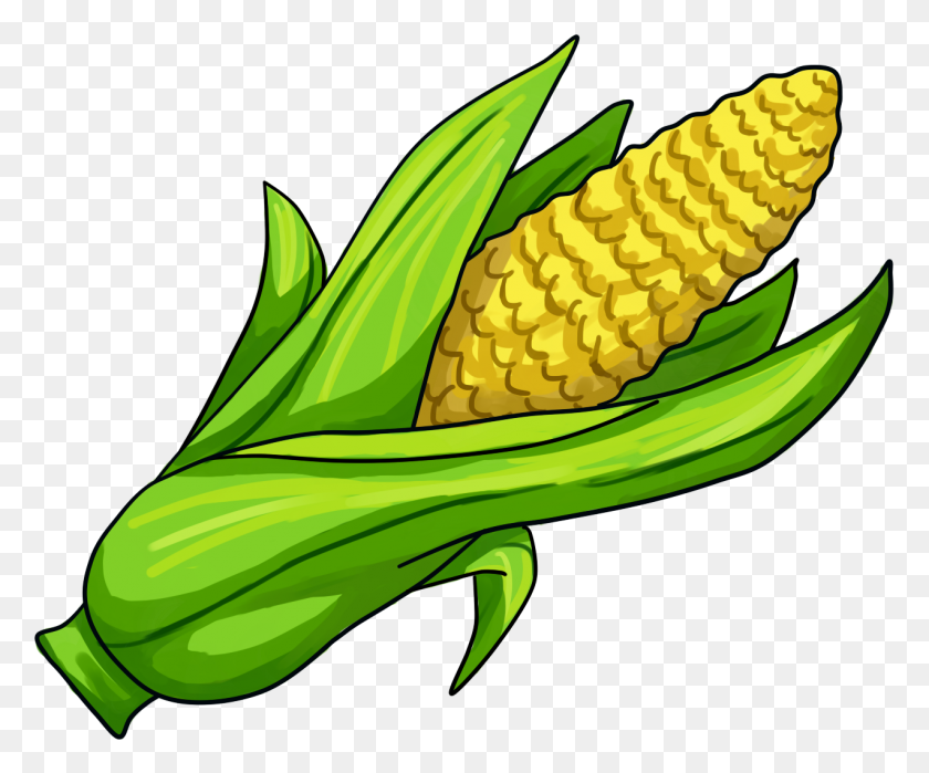 1273x1043 Corn On The Cob Maize Clip Art - Maize Clipart
