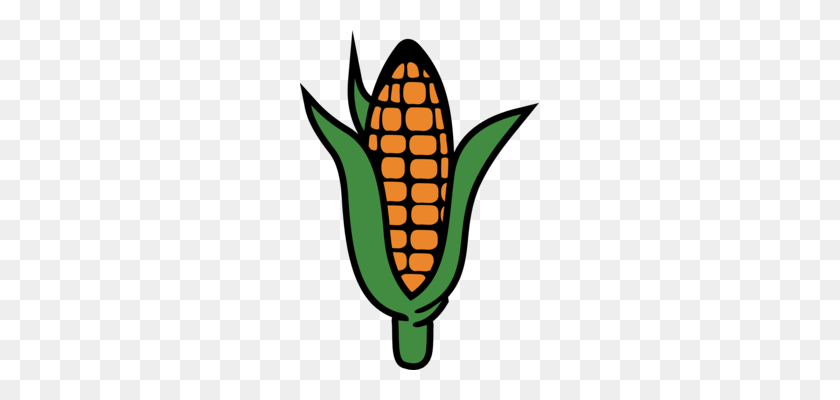 239x340 Corn On The Cob Maize Computer Icons Sweet Corn Food Free - Cereal Clipart