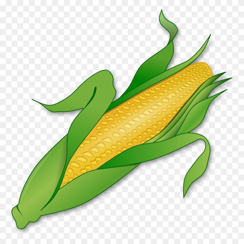 778x778 Corn Png - Corn PNG