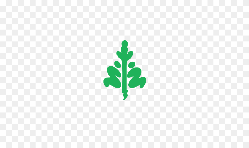 570x440 Corporate Tree Planting Tree Canada - Tree Logo PNG