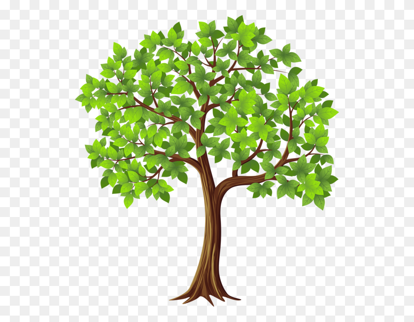 538x593 Cotton Tree Service - Tree Trimming Clip Art