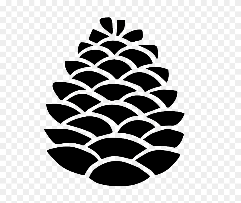 691x648 Course Info - Pinecone PNG
