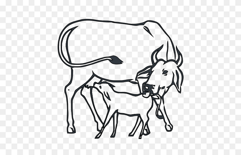 535x480 Cow And Calf Inc - Calf Clipart Black And White