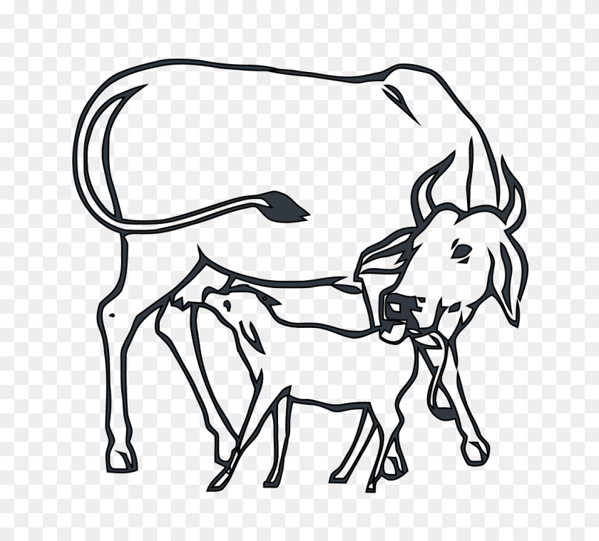 1142x1024 Cow And Calf Inc - Клипарт Корова И Теленок