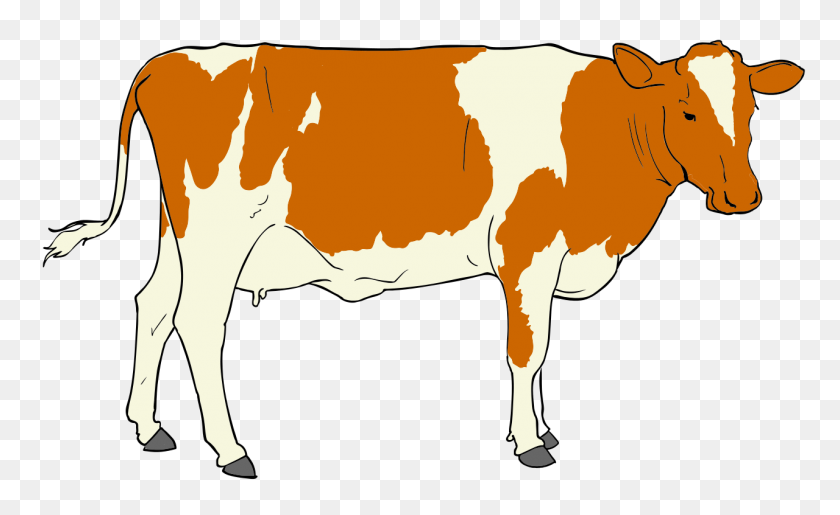 1280x748 Корова Клипарт - Показать Картинки Крупного Рогатого Скота