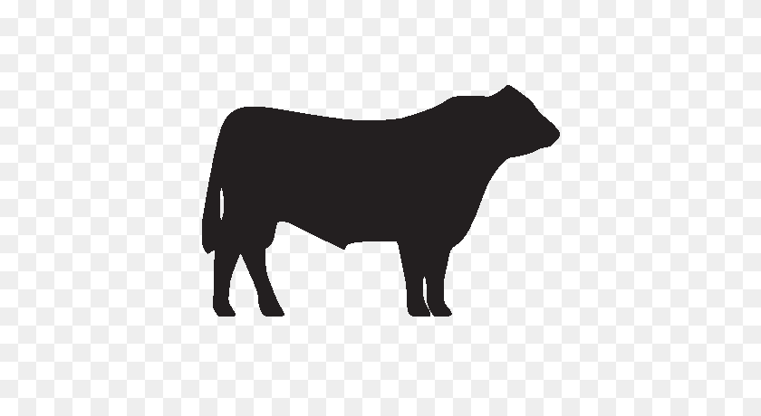 400x400 Cow Clipart Hereford Cow - Cattle Clipart