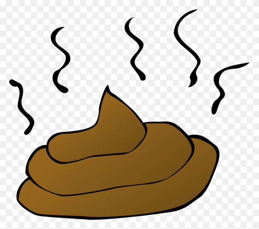 822x720 Cow Clipart Poop - Cattle Clipart
