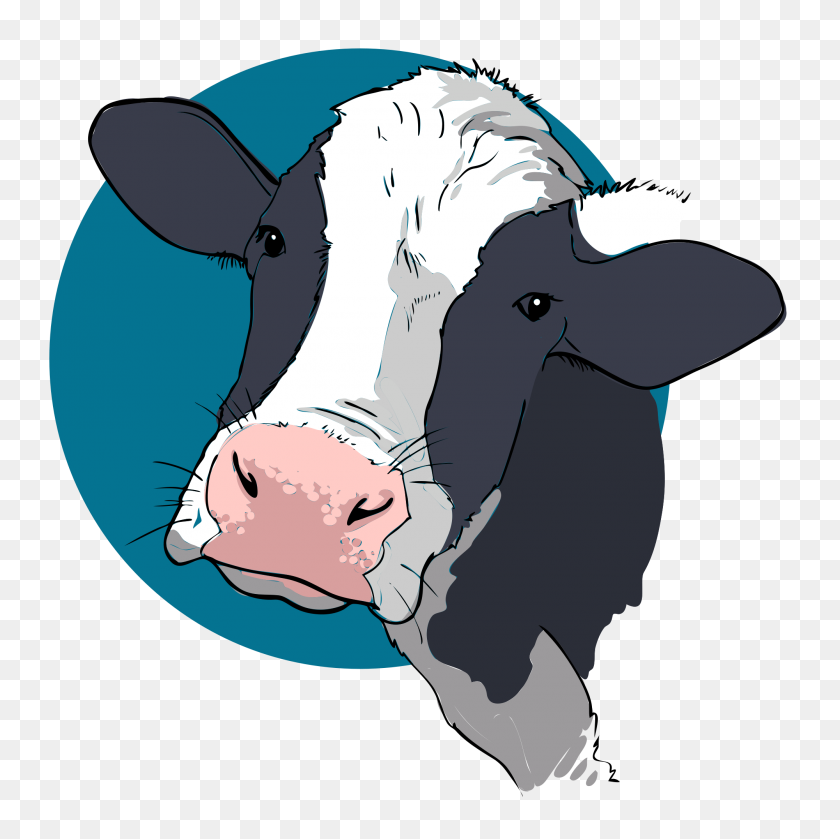 2000x2000 Cow Closeup - Dairy Cow Clip Art