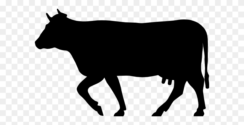 600x371 Cow Png Hd Vector, Clipart - Cow PNG