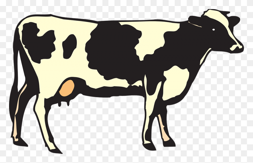 960x594 Cow Png Image, Free Cows Png Picture Download - Cows PNG